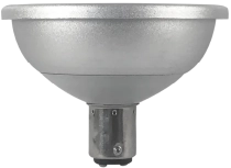 Beautiful Light Technology Corp.